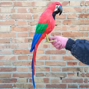 yeni simülasyon kırmızı papağan oyuncak polietilen ve kürkler büyük papağan modeli hediye yaklaşık 60 cm 0061